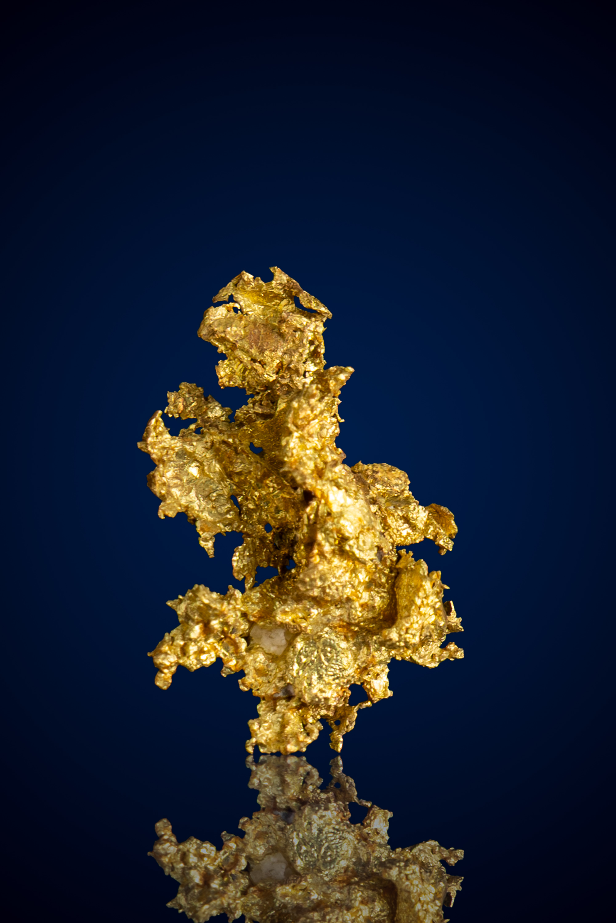 Delicate, Curling Natural Gold Specimen - Oriental Mine, CA - 0.89 grams (image for) Delicate, Curling Natural Gold Specimen - Oriental Mine, CA - 0.89 grams